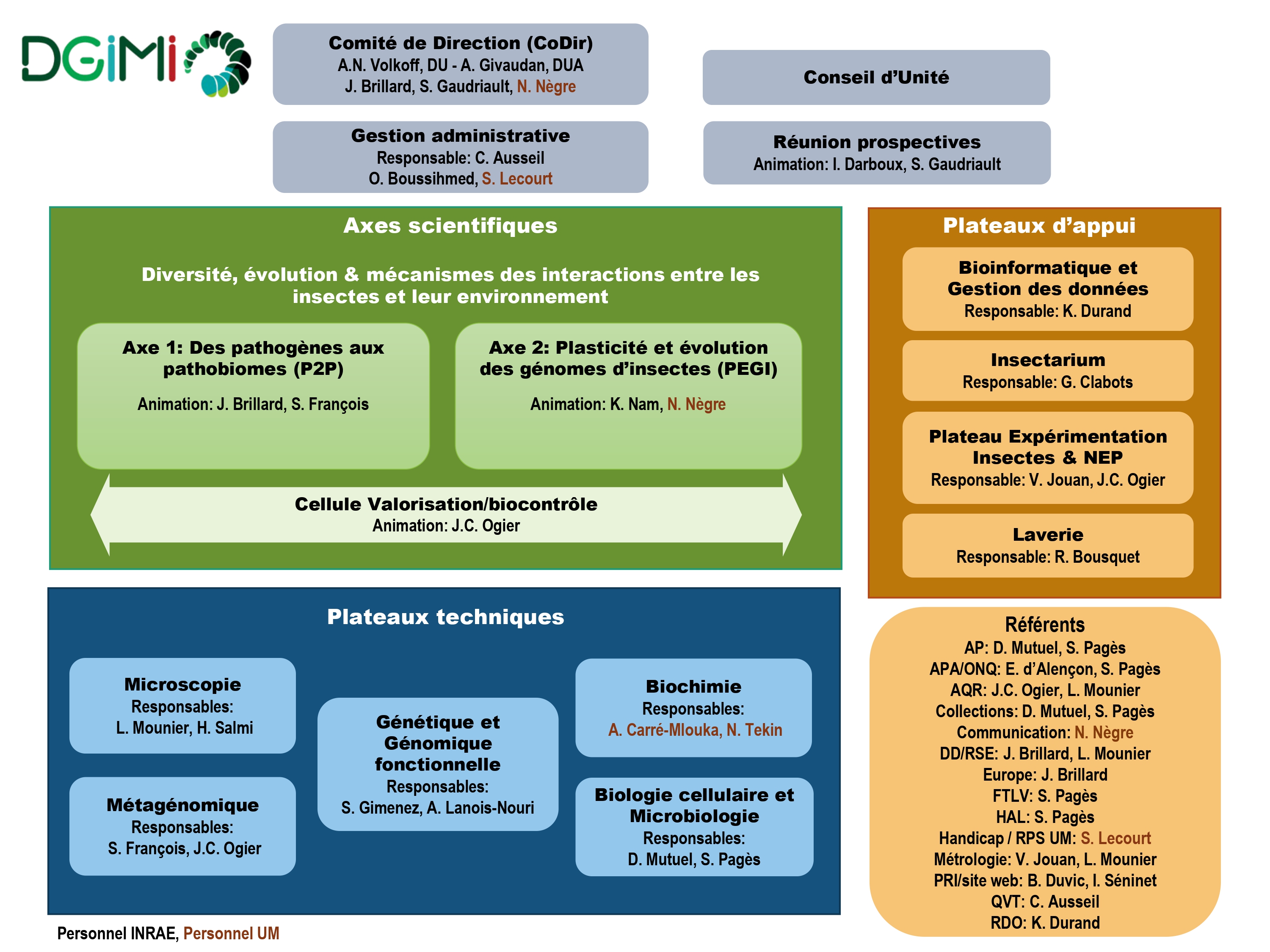 Organigramme_DGIMI_Mai2025