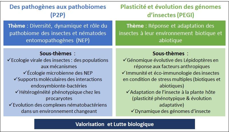 thematiques dgimi 2025