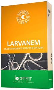 Larvanem-v3