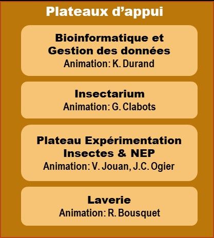 Plateaux d'appui DGIMI 2025