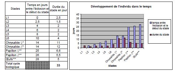 Graph cycle de spodo