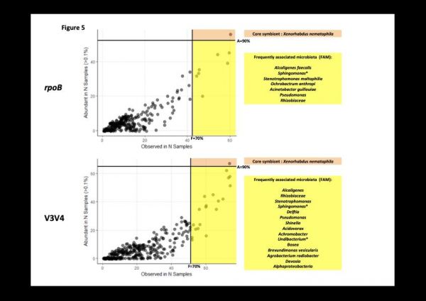 Microbiome_Fig2_Occurrence-Frequence_OTU