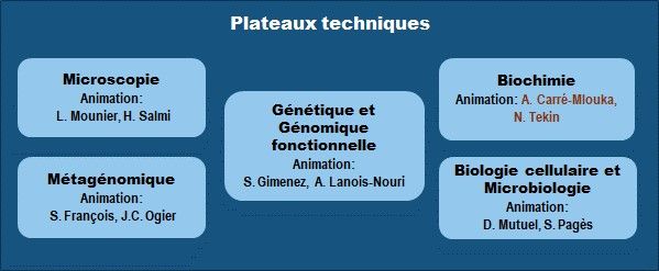 Image plateaux techniques 2025
