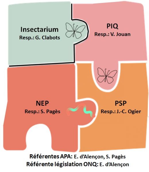 Image Insectarium, Plateau insectes et NEP